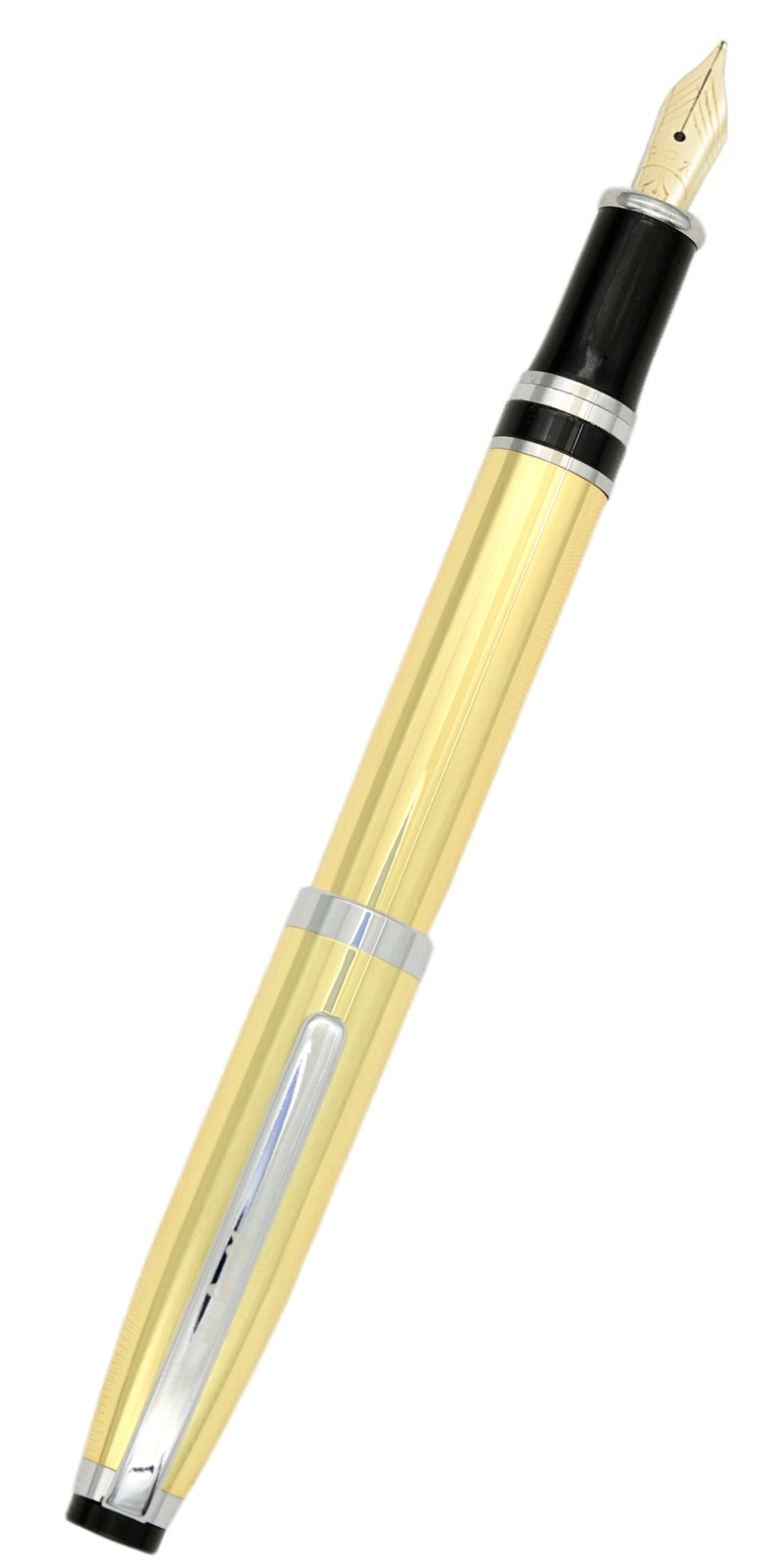 FPR Ambassador Fountain Pen -14k Gold Nib