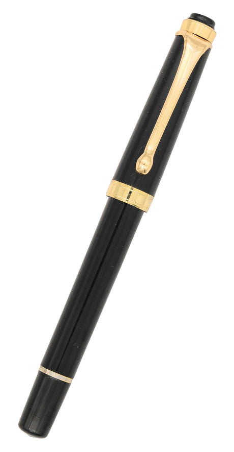 FPR Indus Fountain Pen