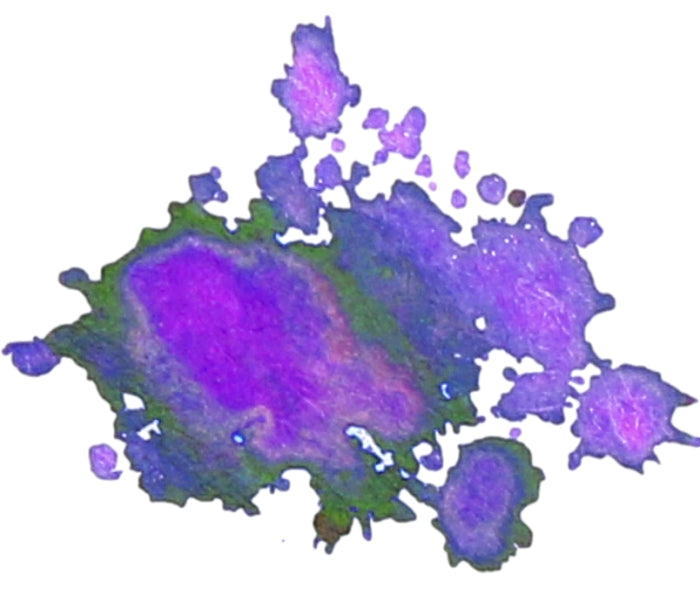 FPR Fountain Pen Ink (30ml)