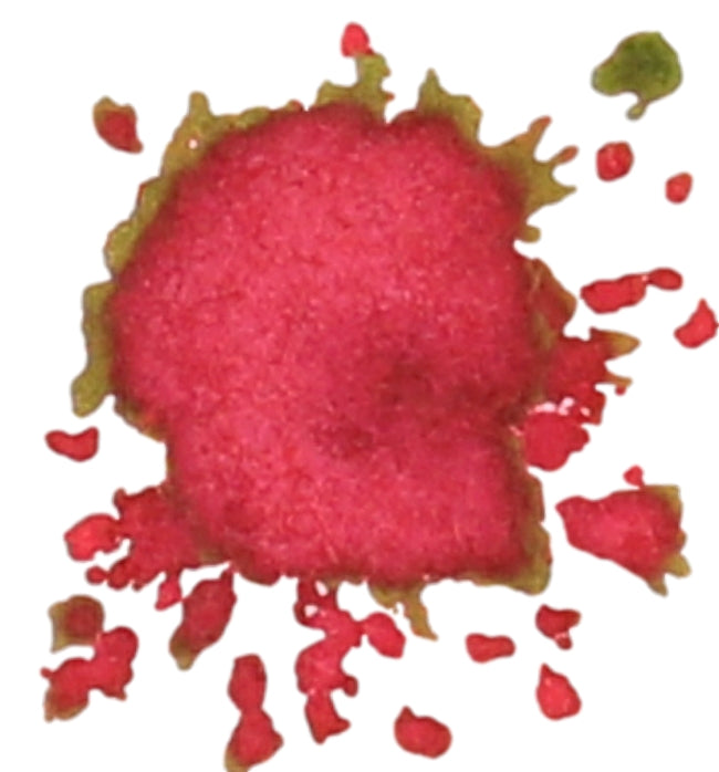 Diamine Noel Fountain Pen Ink