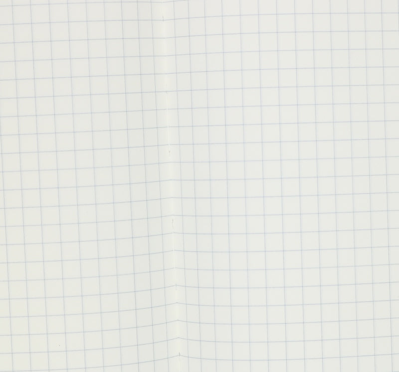 Tomoe River A5 Notebook - Graph