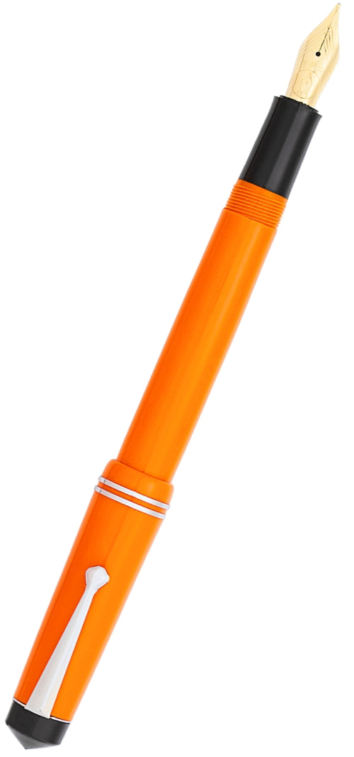 FPR Darjeeling Fountain Pen -14k Gold Nib