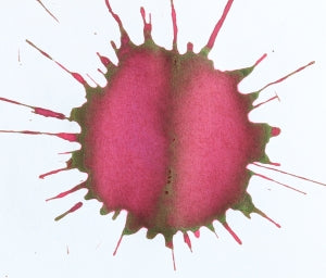 Diamine Noel Fountain Pen Ink