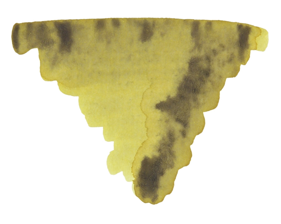 Platinum Citrus Black Fountain Pen Ink