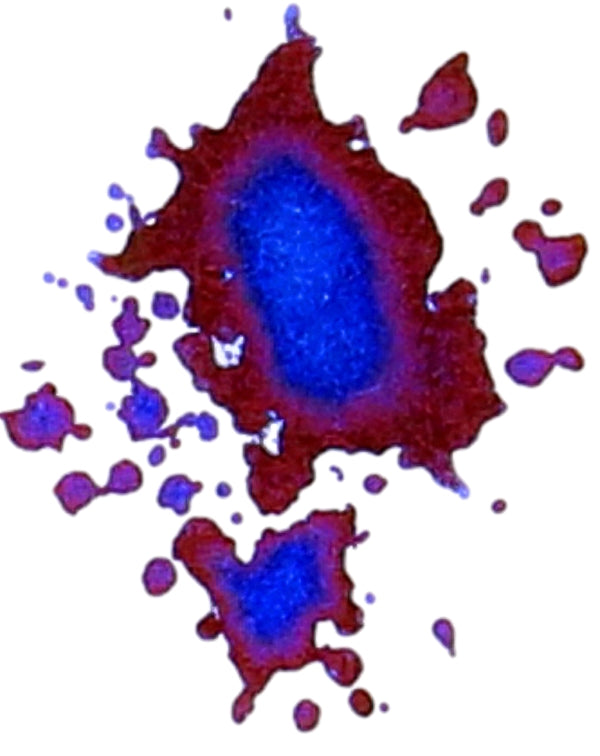 Diamine Festive Cheer Sheening Fountain Pen Ink