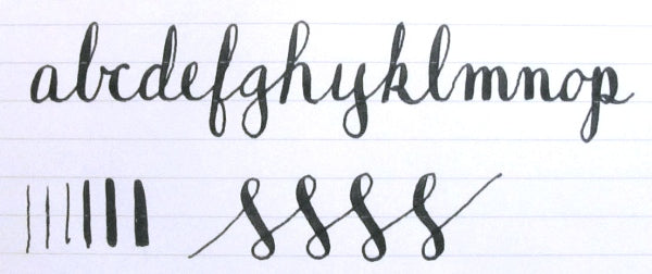 Ultra Flex FPR Guru Fountain Pen -$14 Pensanity Sale! (Clear) - LIMIT 2 PER CUSTOMER