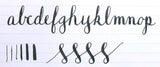 Ultra Flex FPR Guru Fountain Pen -$14 Pensanity Sale! (Clear) - LIMIT 2 PER CUSTOMER