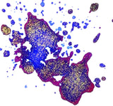 FPR Shimmering Fountain Pen Ink Bundle (6 bottles)
