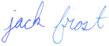 Diamine Jack Frost Sheen and Shimmer Fountain Pen Ink