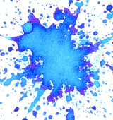 FPR Fountain Pen Ink (30ml)