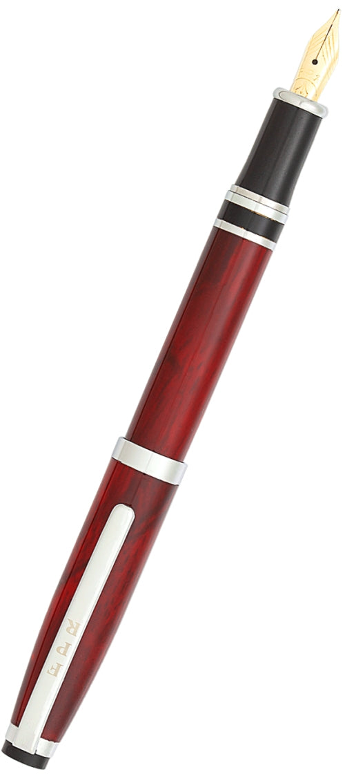 FPR Ambassador Fountain Pen -14k Gold Nib – Fountain Pen Revolution