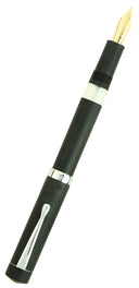 FPR Jaipur V2 Fountain Pen -14k Gold Nib
